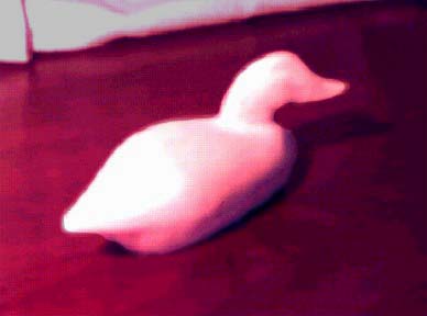 Plain Duck